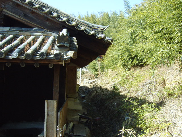 이택당배면