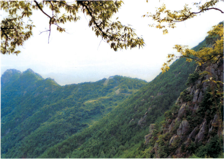 영축산성
