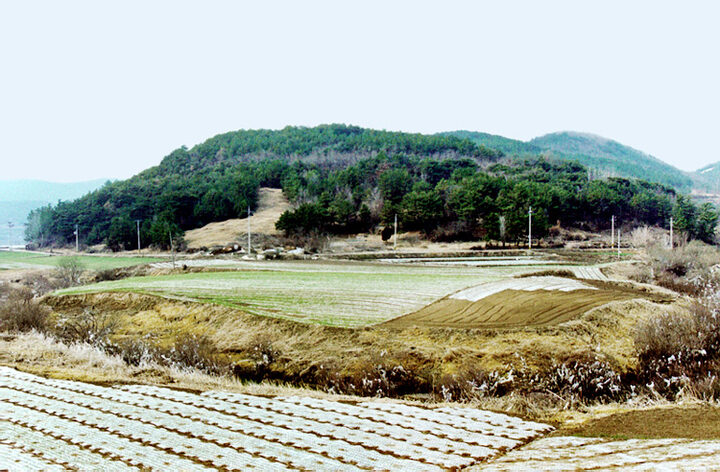 성산산성