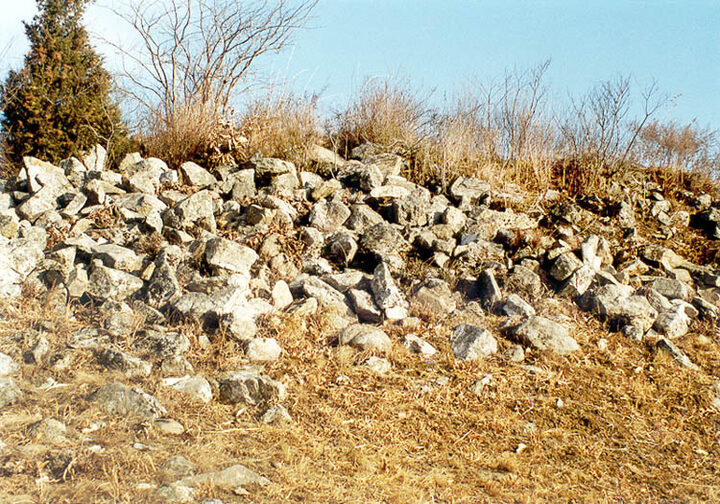 하성
