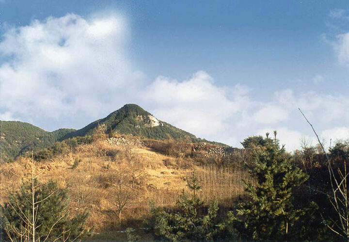 하성원경