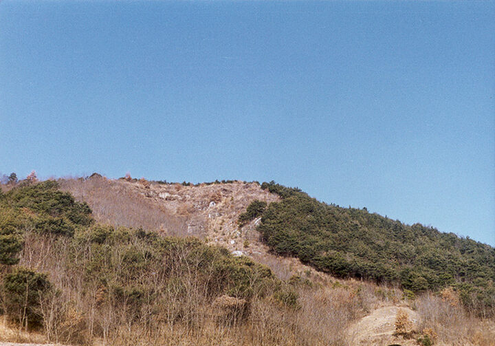 성기성원경