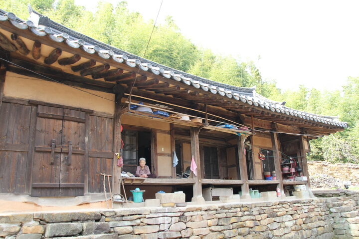 몸채
