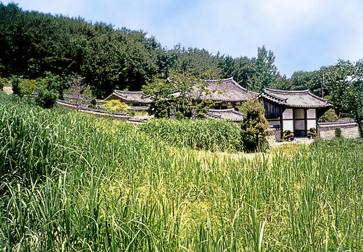 관술정전경