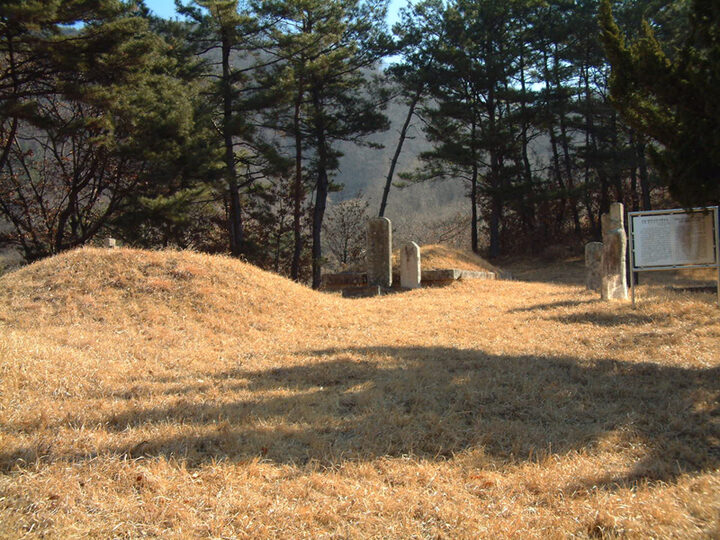 어연.함안이씨어변갑묘
