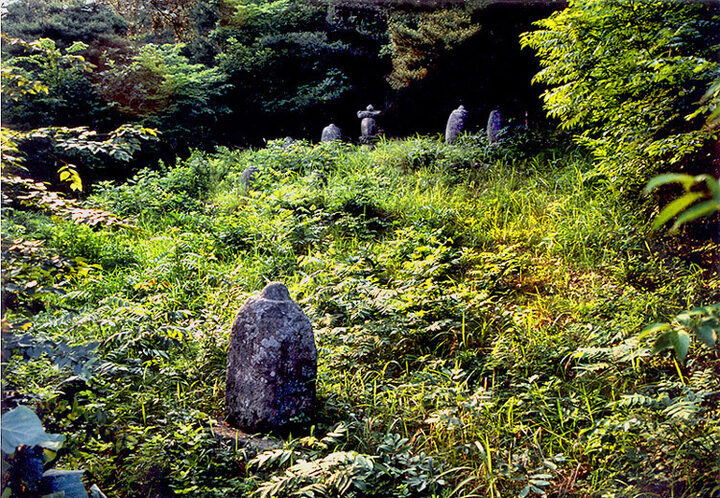 수도사부도군