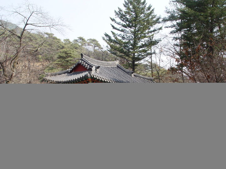 심원정 전경1