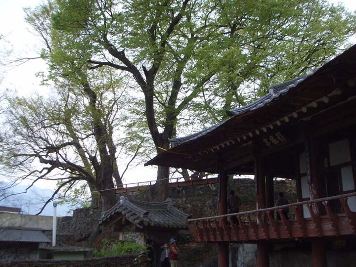 인풍정원