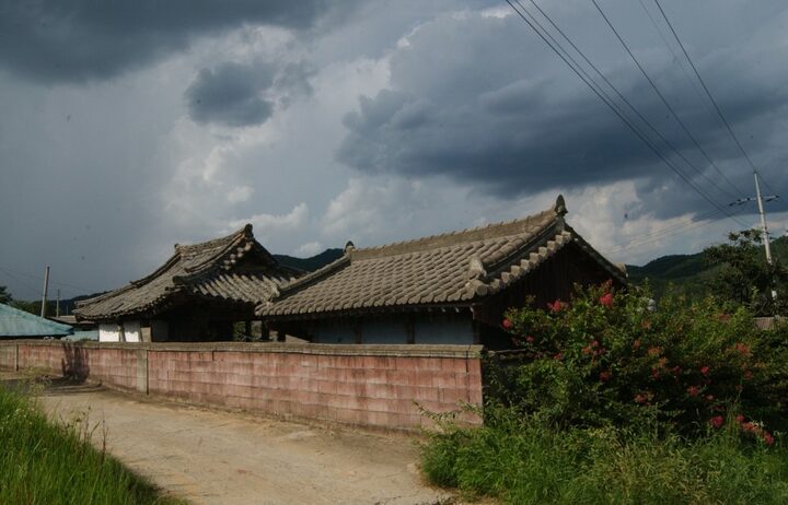 임강정 배면