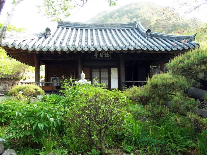 정면
