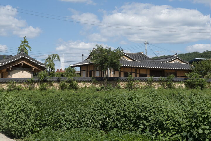 원경