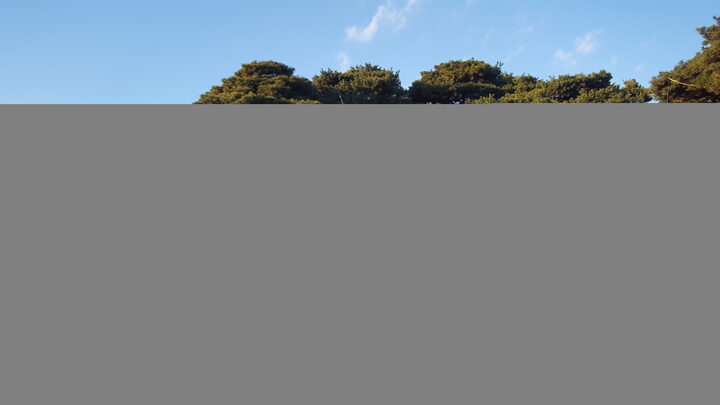 권시의 묘 사진촬영