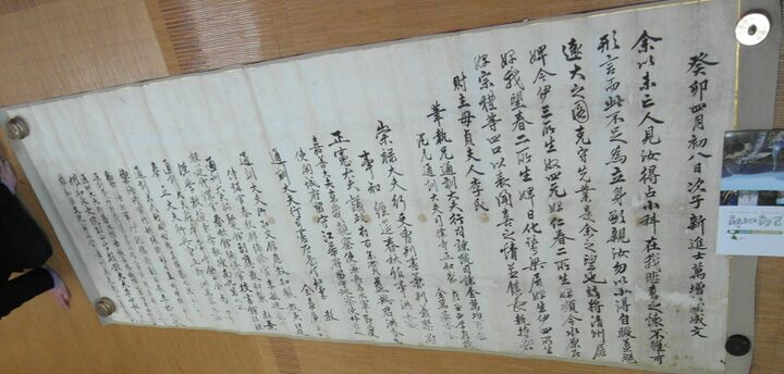 정면사진