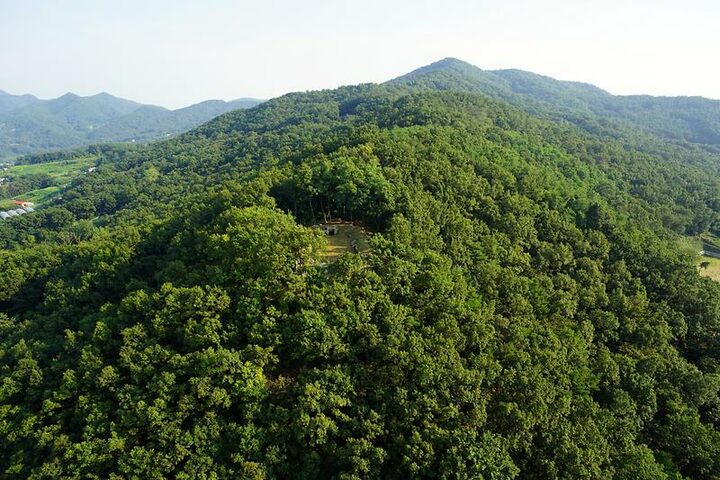 선수돈대