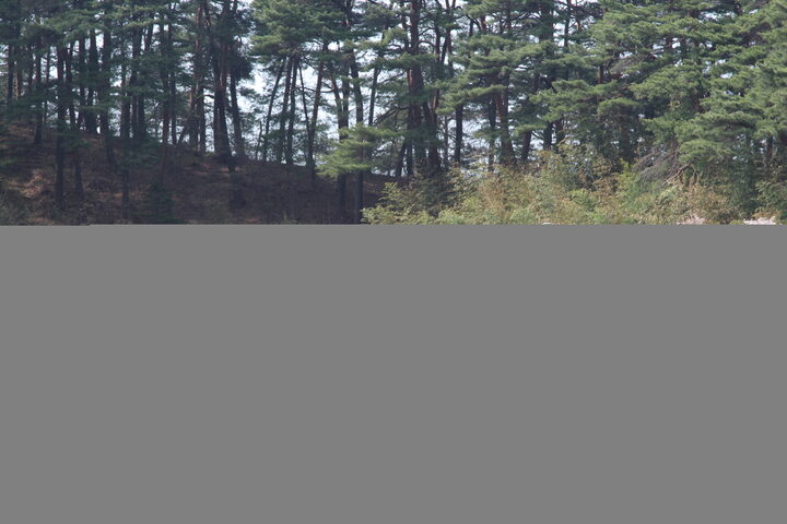 강릉 회계 고택