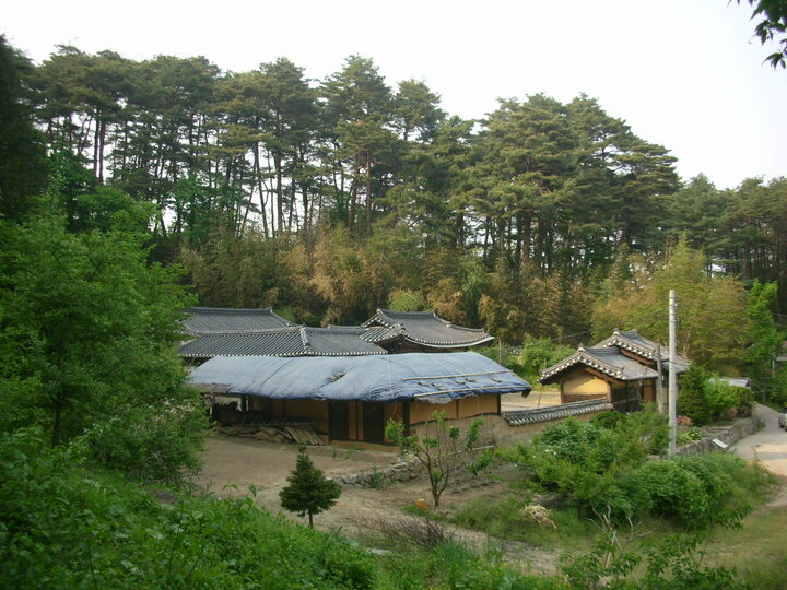 강릉 회계 고택