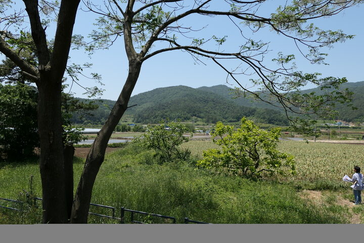 고흥군 문화예술과