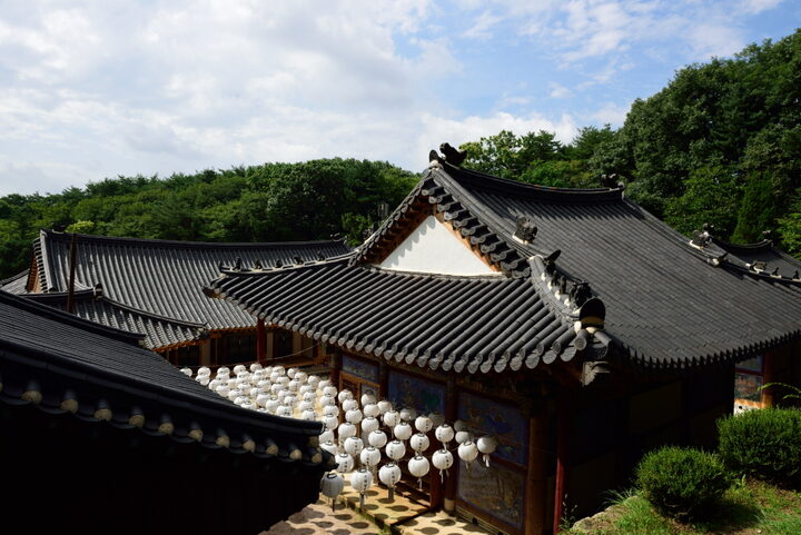 흥국사대웅보전_뒷편 풍경 (촬영년도 : 2015년)
