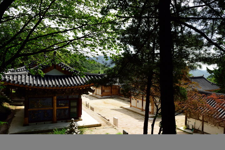 흥국사대웅보전_풍경 (촬영년도 : 2015년)