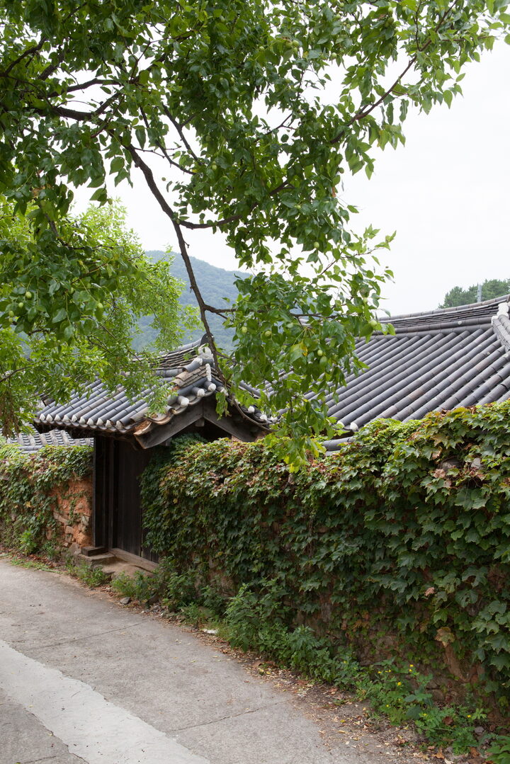 고성송계리이씨고가_입구전경 (촬영년도 : 2015년)