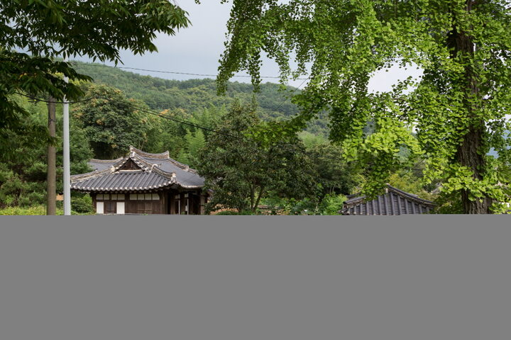 밀양다죽리손씨고가_전경 (촬영년도 : 2015년)