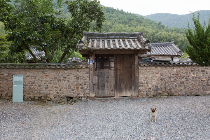 밀양 서고정사_입구 대문 (촬영년도 : 2015년)