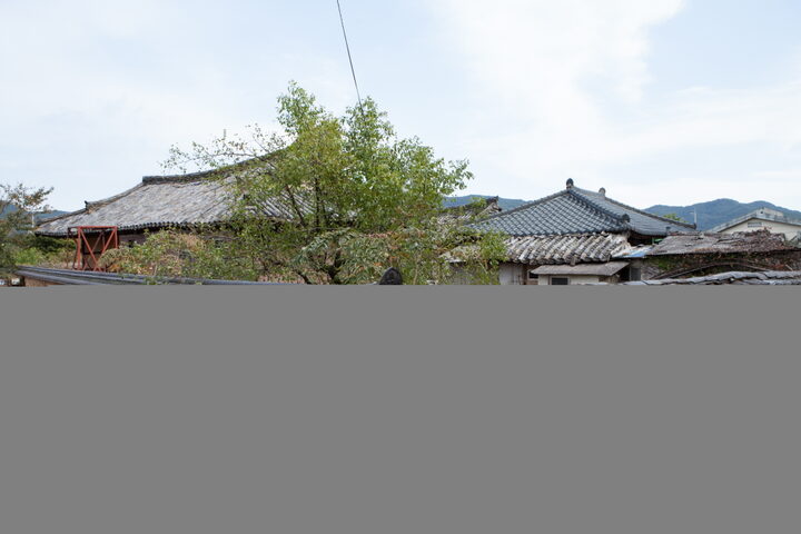 산청단계리박씨고가_돌담 전경 (촬영년도 : 2015년)
