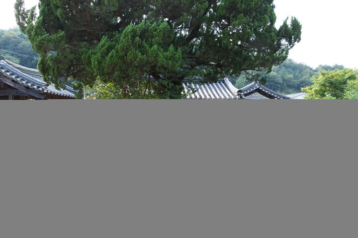 산청단계리박씨고가_입구 전경 (촬영년도 : 2015년)
