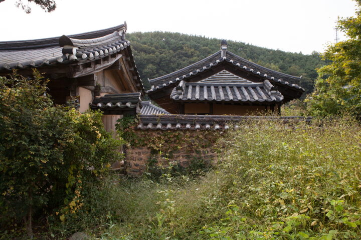 산청단계리박씨고가_지붕 및 돌담 (촬영년도 : 2015년)
