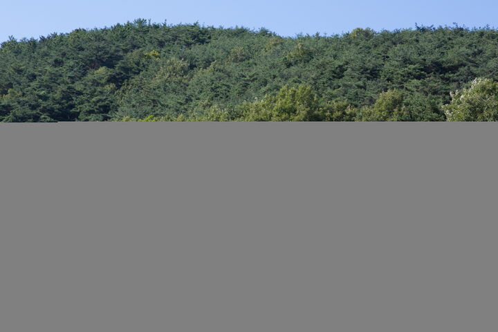 창녕 남휘, 정선공주 묘역_가는 길 전경 (촬영년도 : 2015년)