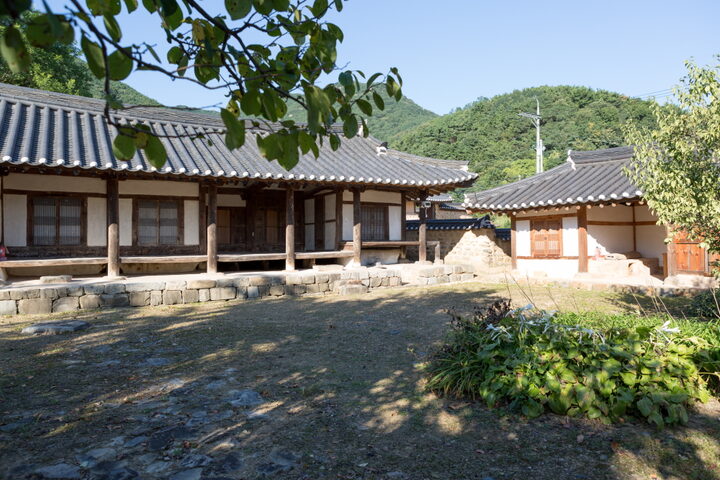 창녕 영산 신씨고가2_마당 전경 (촬영년도 : 2015년)