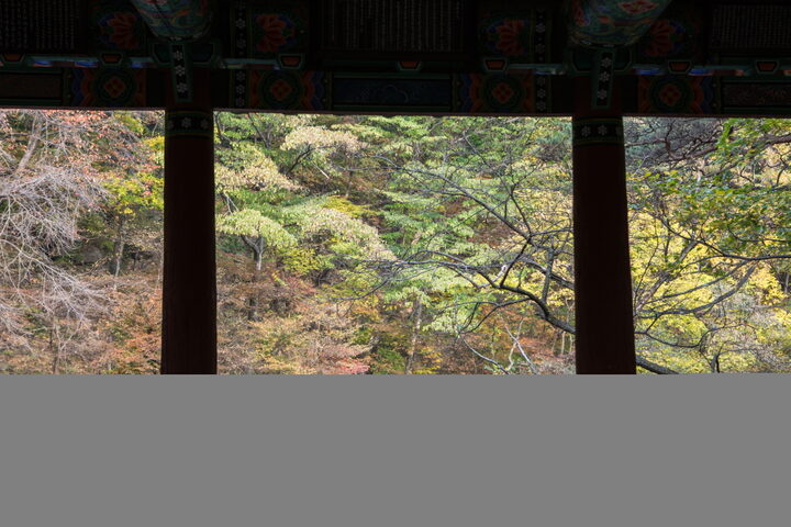 함양심원정_심원정에서 바라본 풍경 (촬영년도 : 2015년)