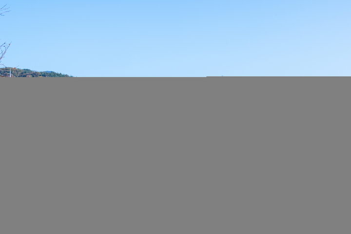 숭복사지삼층석탑_원경 (촬영년도 : 2015년)