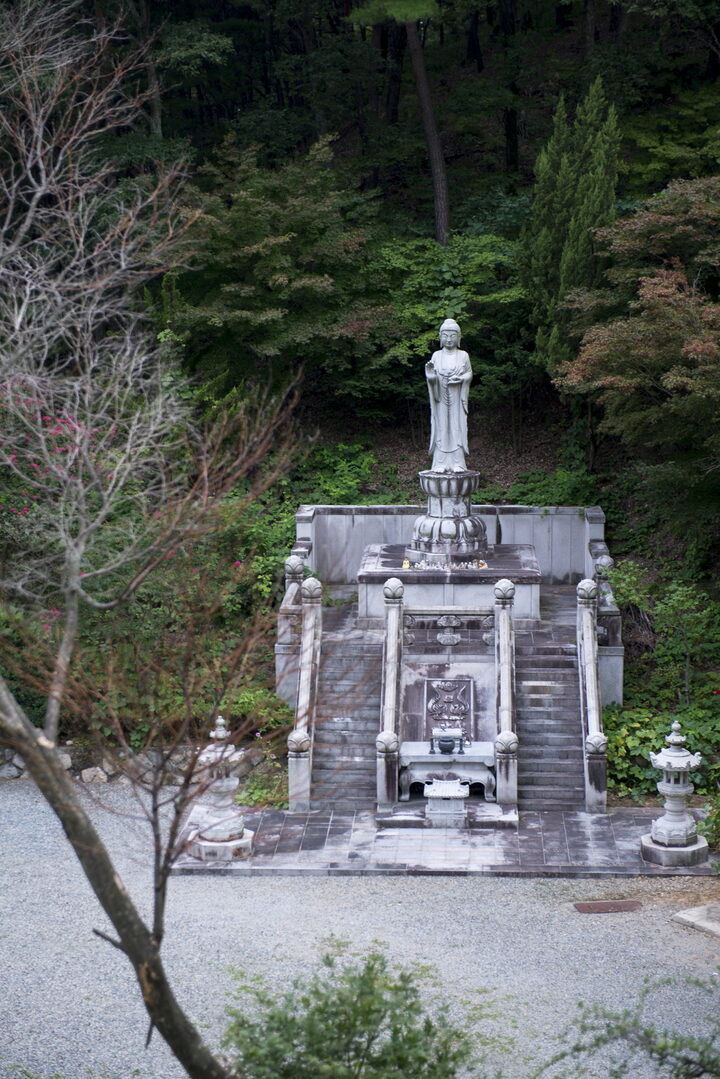 고방사 목조아미타삼존불상_약사여래불 (촬영년도 : 2015년)