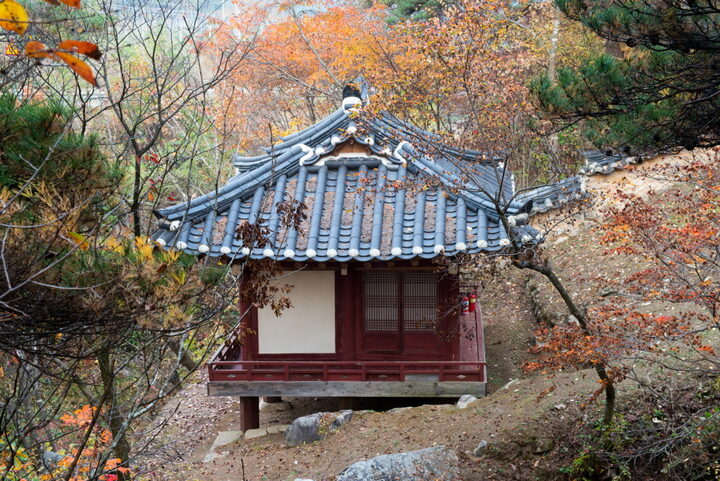 와선정_측면 (촬영년도 : 2015년)