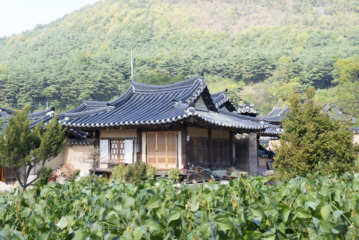 남천고택_사랑채 원경 (촬영년도 : 2015년)