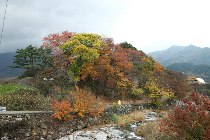 방호정_전경 (촬영년도 : 2015년)