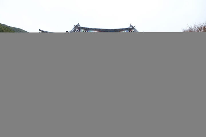 천은사_극락보전 (촬영년도 : 2015년)