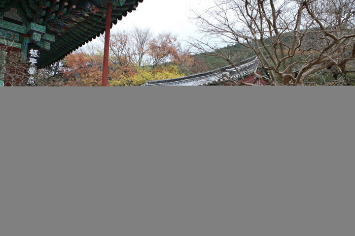 천은사_명부전 (촬영년도 : 2015년)