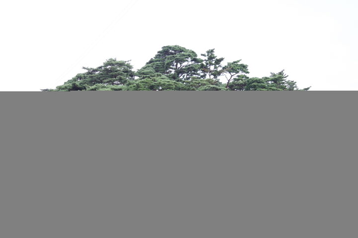 동백정_전경 (촬영년도 : 2015년)