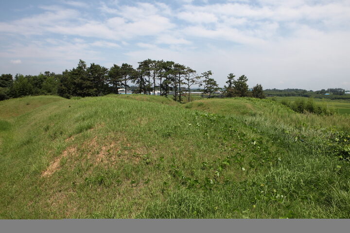 영암신연리고분군_전경 (촬영년도 : 2015년)