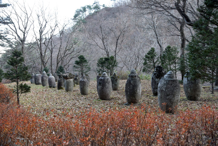 강릉 보현사 부도군(강원도청)