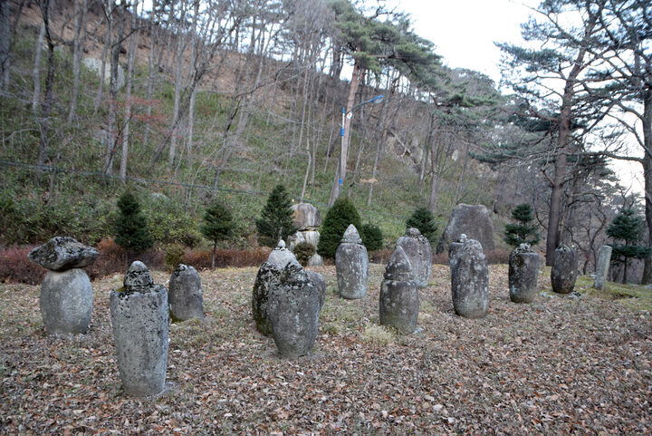 강릉 보현사 부도군(강원도청)