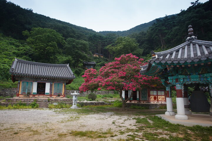 상원사대웅전_전경1 (촬영년도 : 2015년)