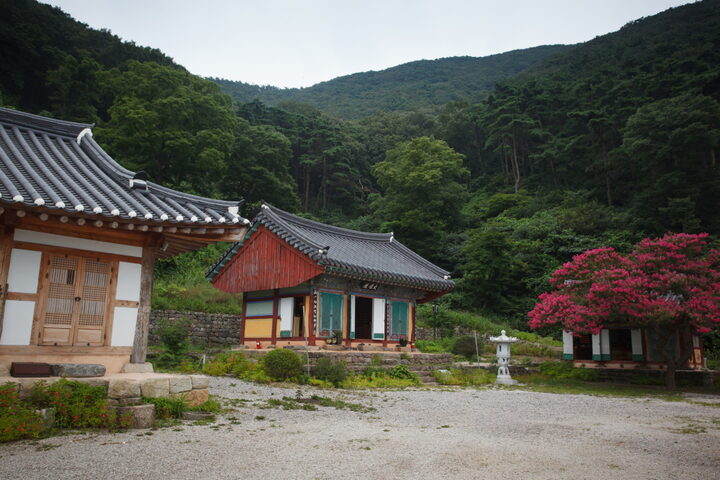 상원사대웅전_전경2 (촬영년도 : 2015년)