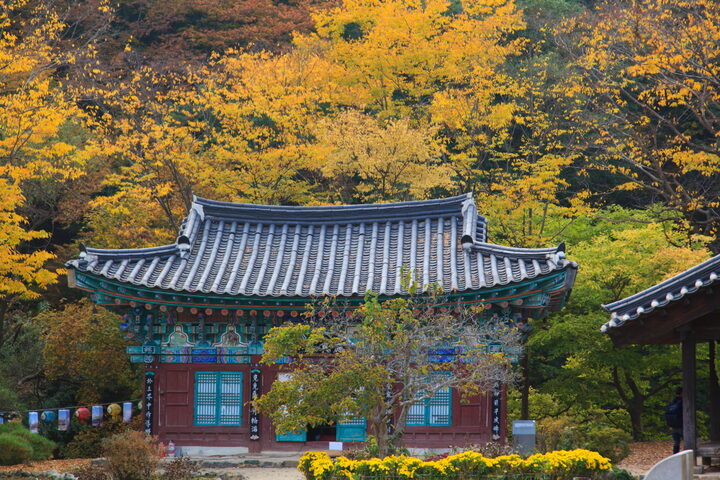 마곡사응진전_전경2 (촬영년도 : 2015년)