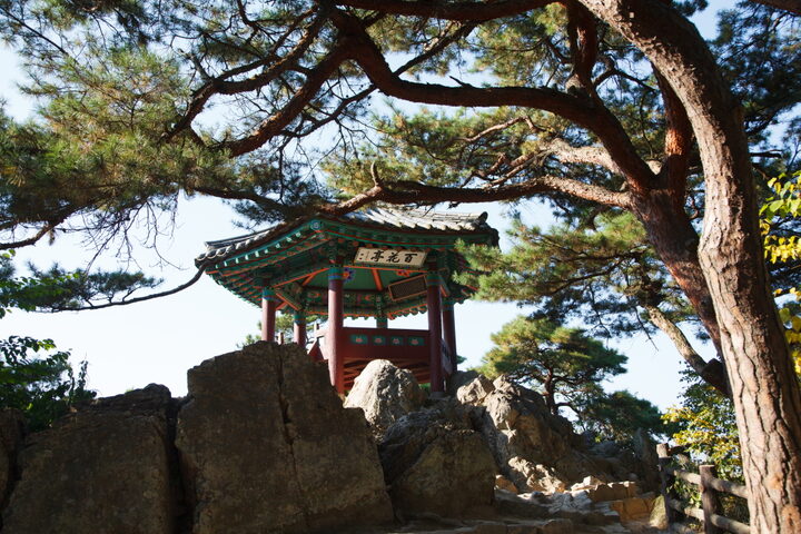 백화정_전경 (촬영년도 : 2015년)