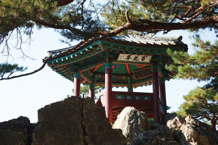 백화정 (촬영년도 : 2015년)