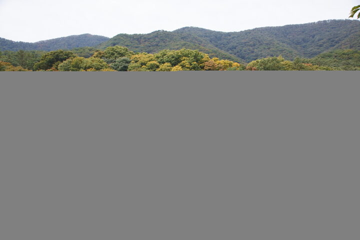 무량사구지_안내판과 오른쪽 전경 (촬영년도 : 2015년)