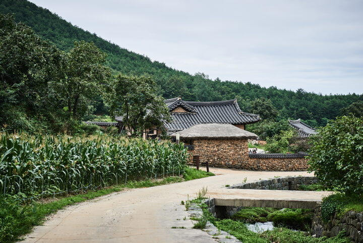 고성함정균고택_전경 (촬영년도 : 2016년)